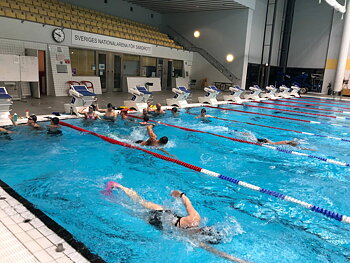 Race & Shine/Wolff-Wear front crawl program autumn -21